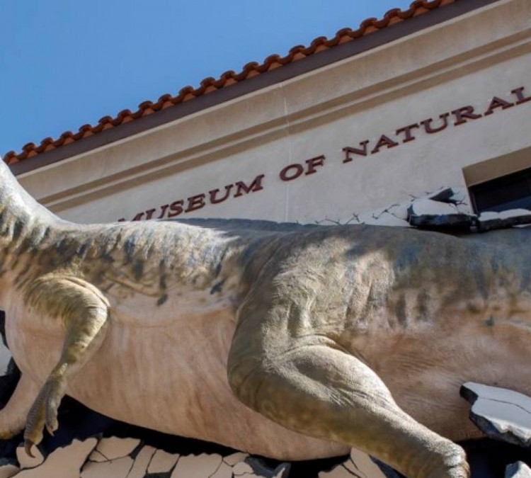 Arizona Museum of Natural History (Mesa,&nbspAZ)